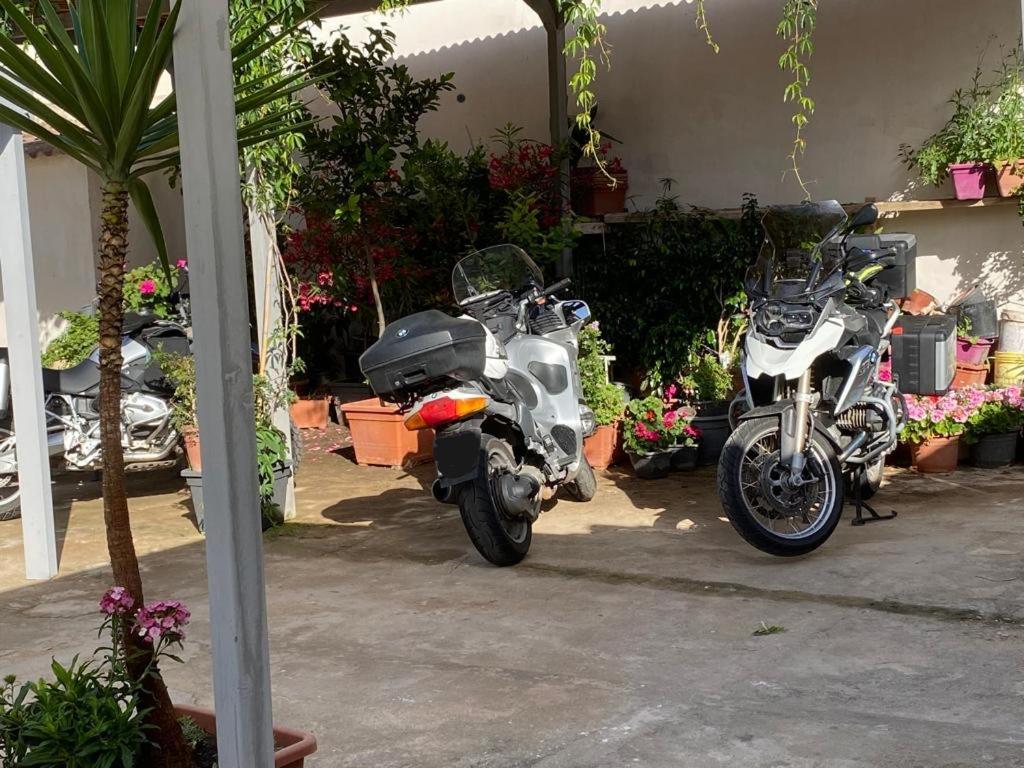 Agriturismo Amici Càbras 外观 照片